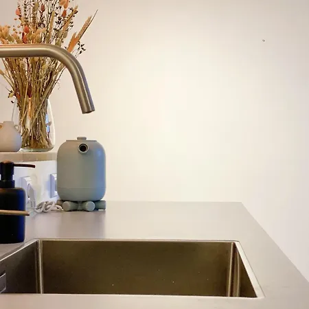 Charming House In Centre Oud-Beijerland